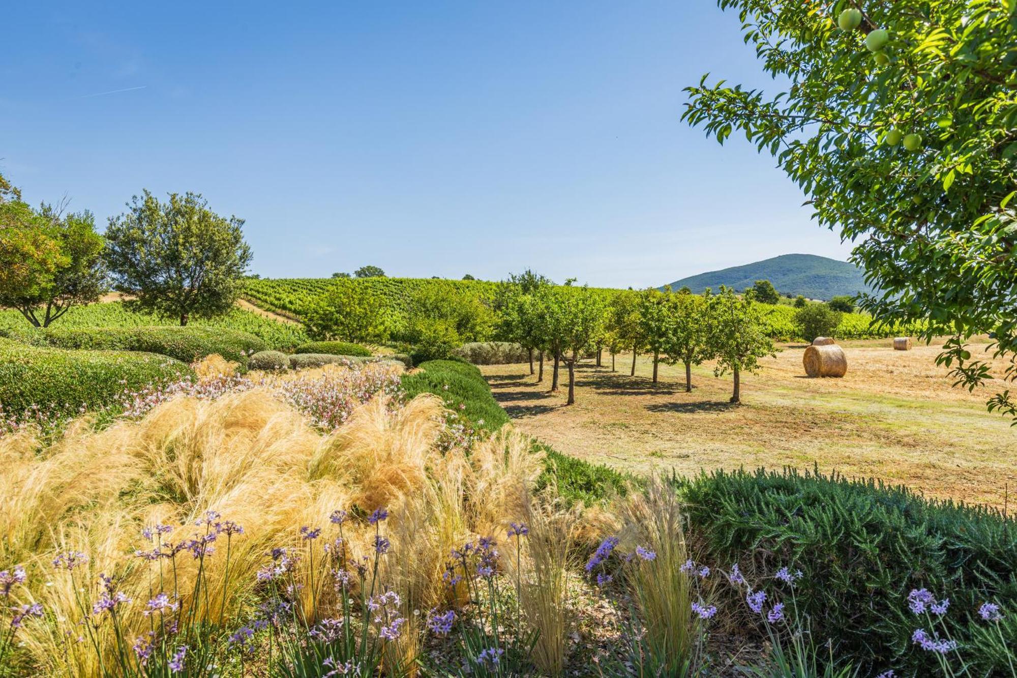 Il Casale Degli Olivi Capalbio