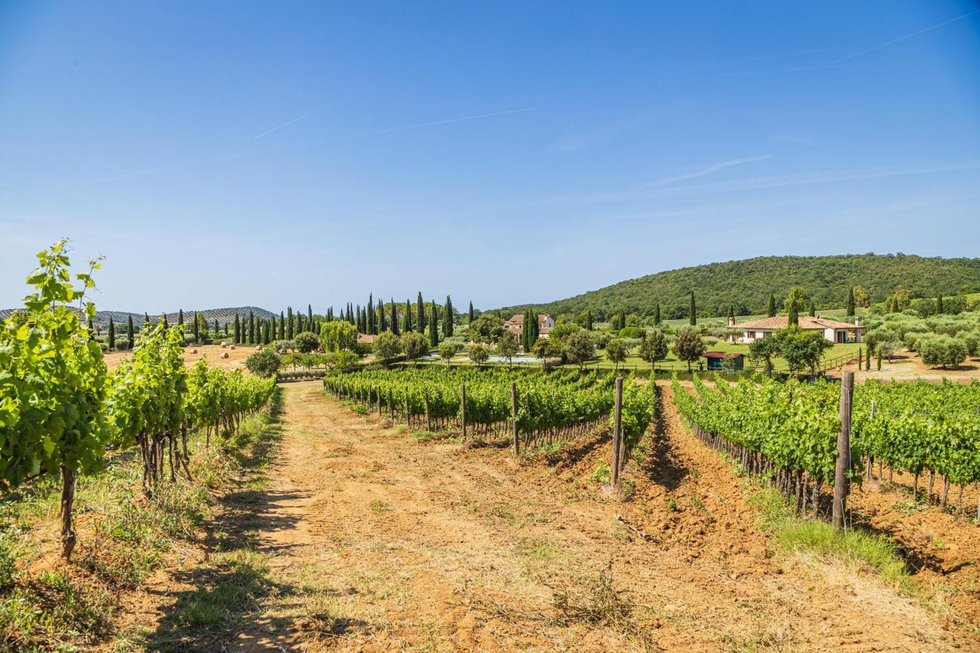 Il Casale Degli Olivi Farm stay *