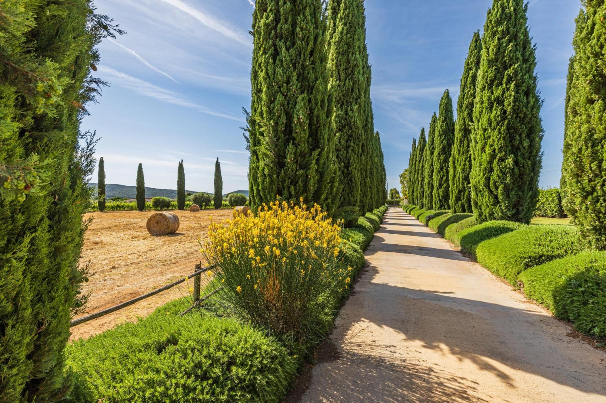 Farm stay Il Casale Degli Olivi *