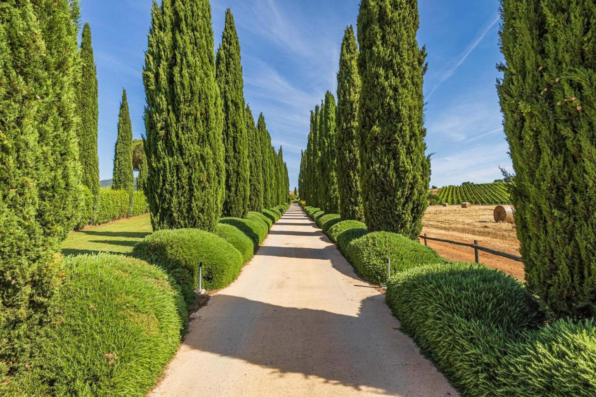 Il Casale Degli Olivi * Capalbio