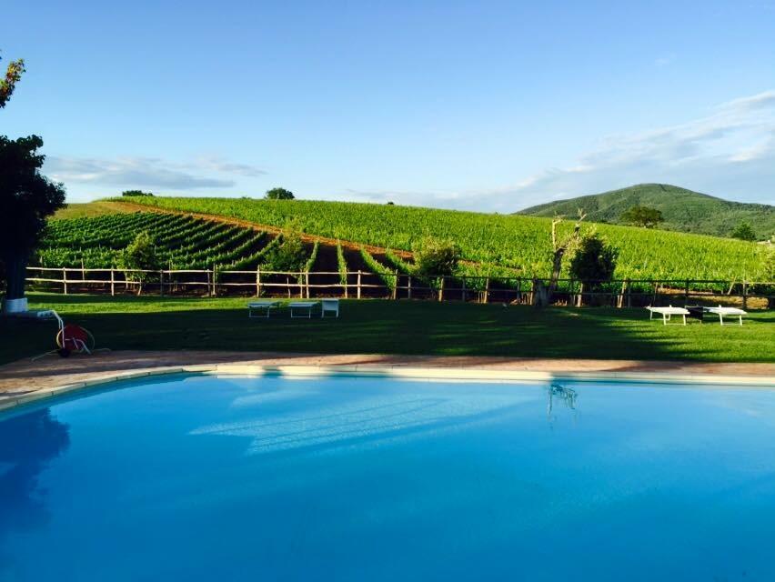 Farm stay Il Casale Degli Olivi