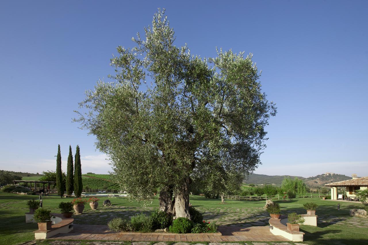 Il Casale Degli Olivi * Capalbio