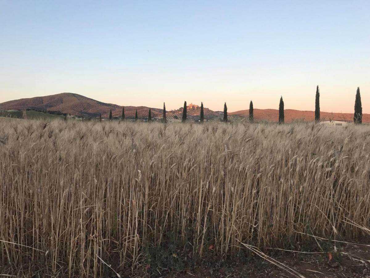 Séjour à la ferme Il Casale Degli Olivi *